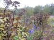 Landschafts- und Baukultur