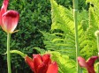 Sachverständigentätigkeit im Garten und Landschaftsbau